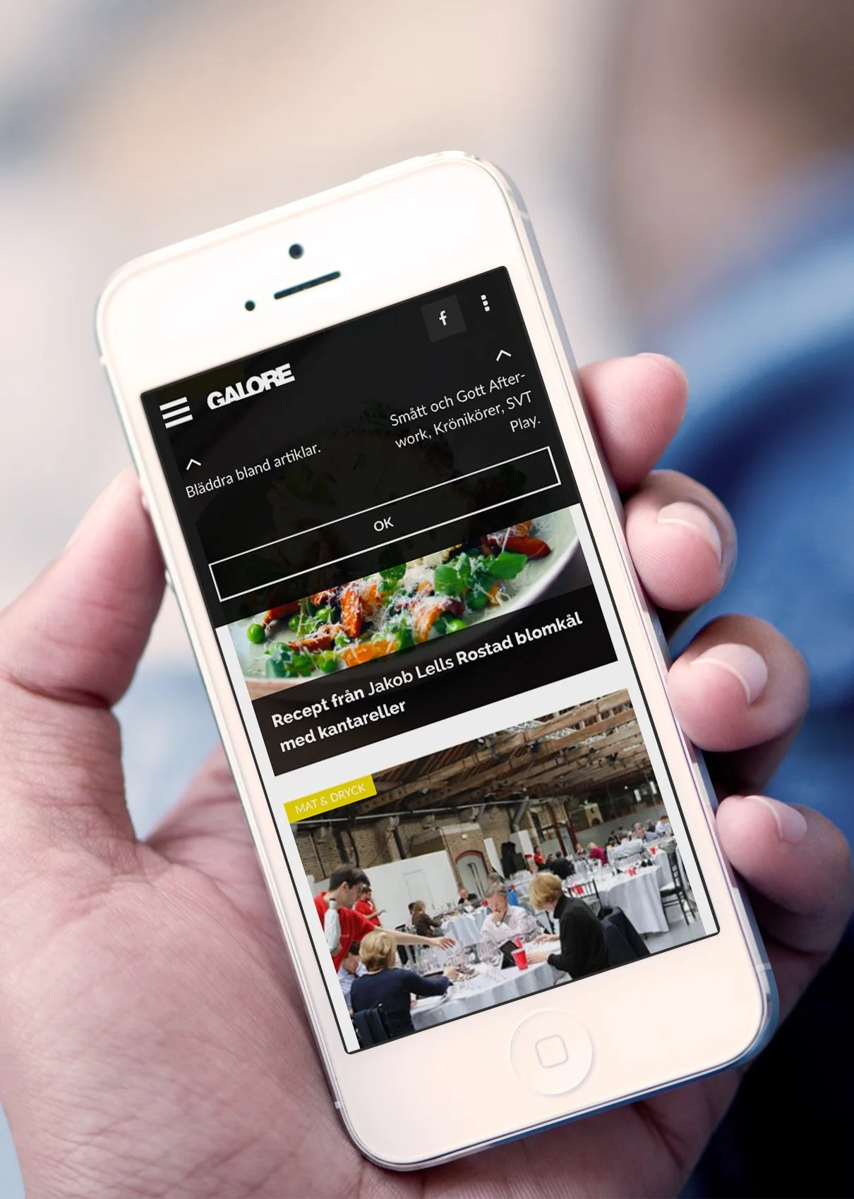 Webbplatsen på en mobil som hålls i en hand: mörk design med en maträtt och en rubrik