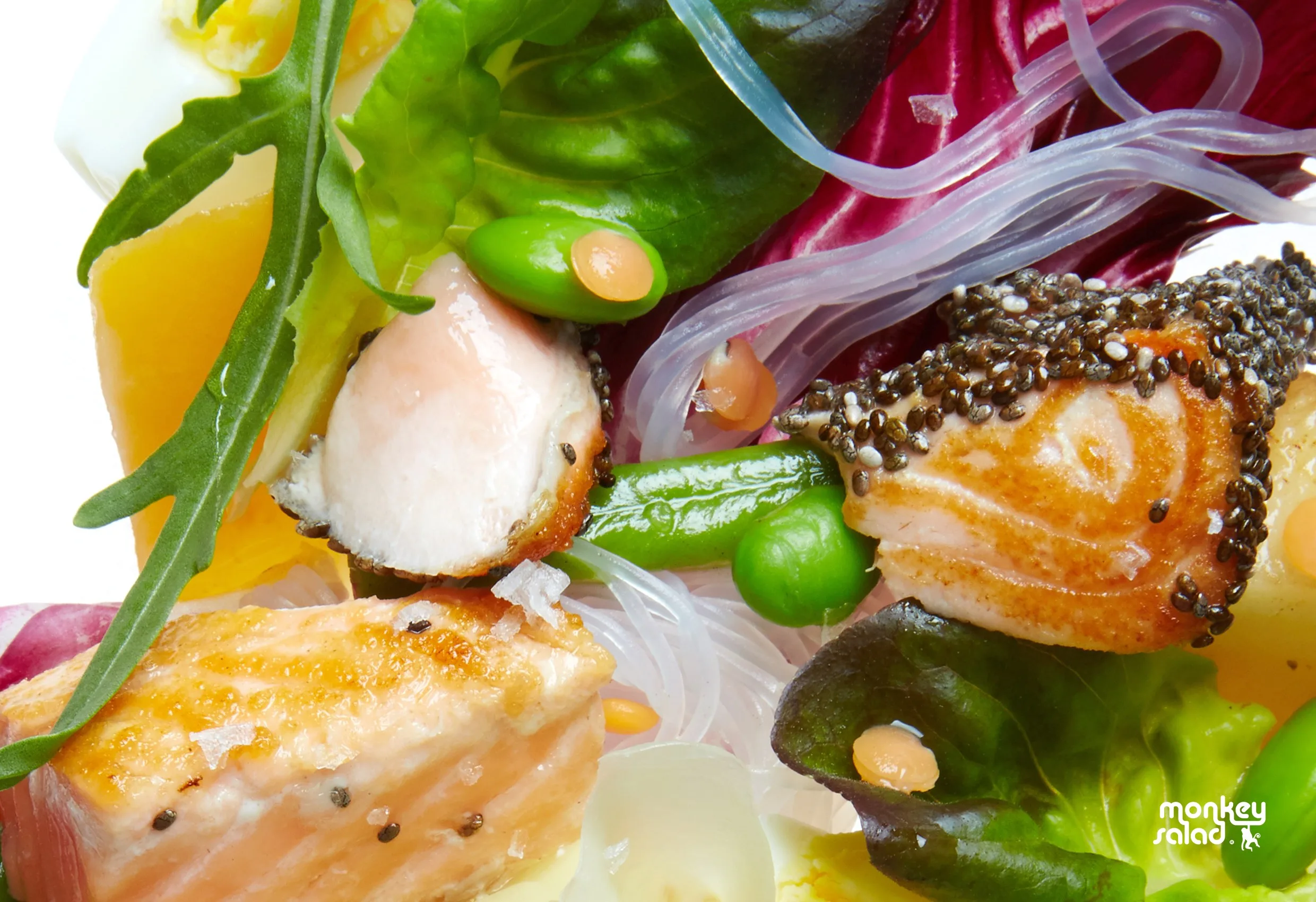 Närbild på lax, ärtor och grönsaker i en sallad, med Monkey Salads logotyp nere till höger