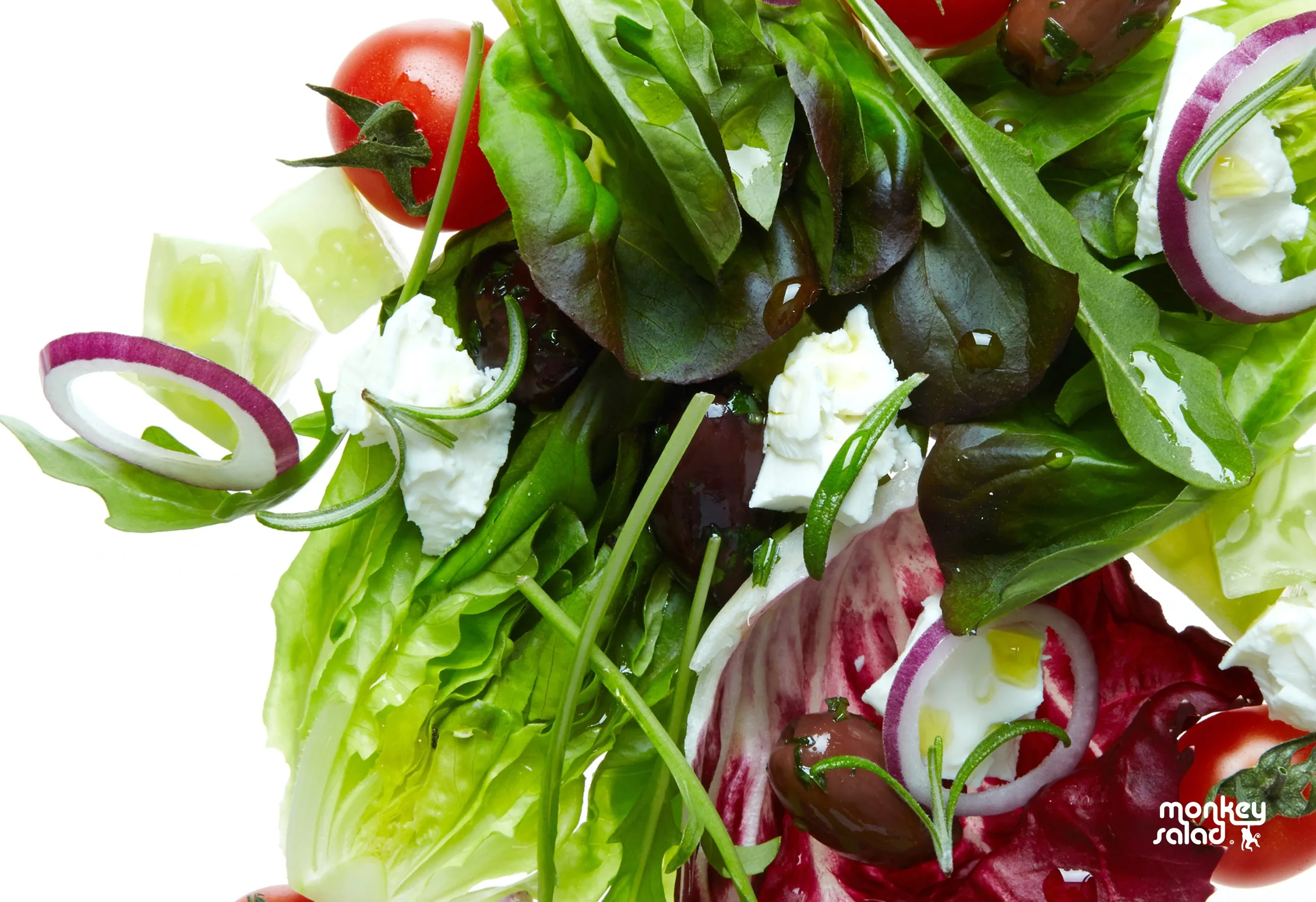 En sallad med rödlök, ostbitar och blad, med Monkey Salads logotyp nere till höger