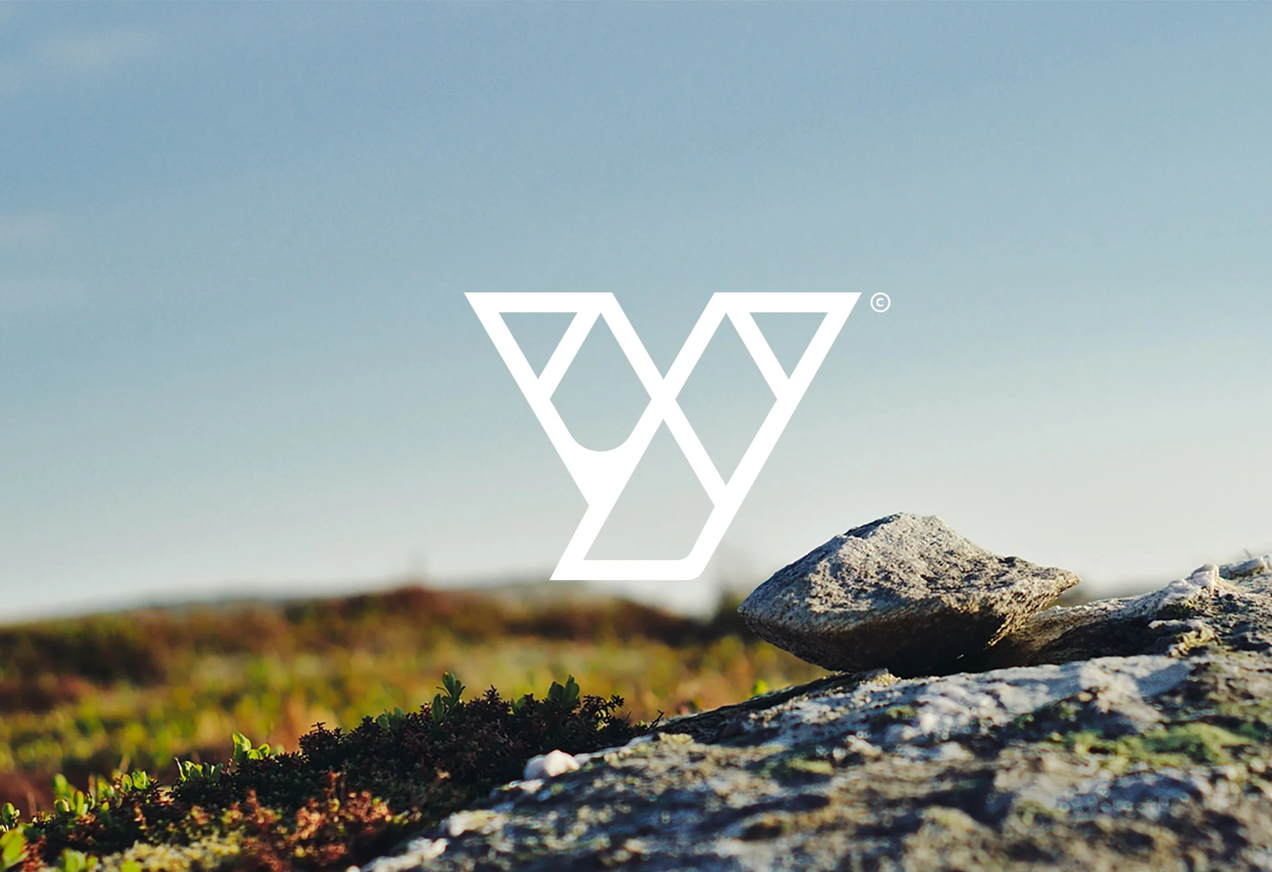 Younics Y-symbol i vitt över ett kargt landskap med en sten